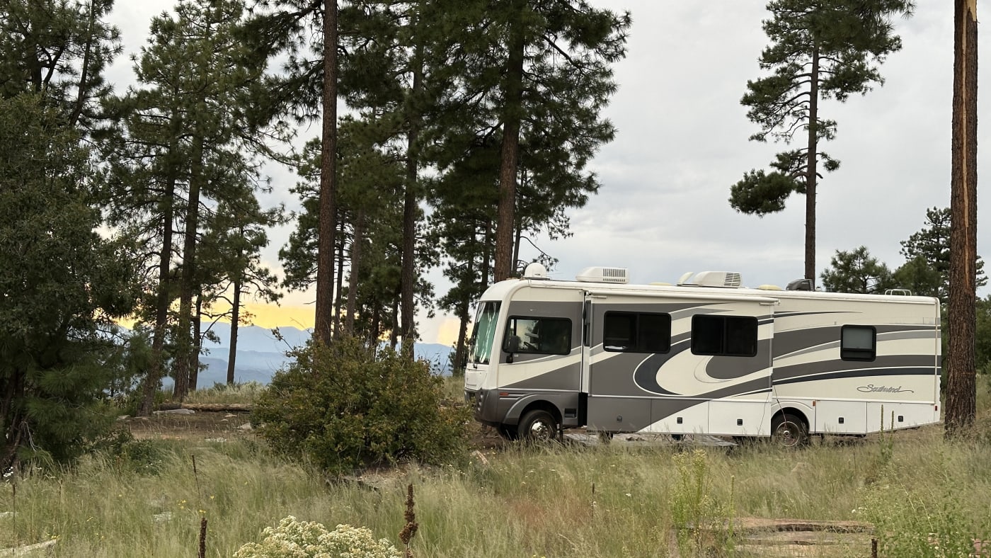 The motorhome in a pine forest at sunset